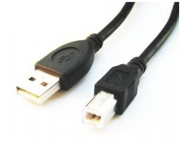 CABLE USB2 AM-BM 1.8M/CCP-USB2-AMBM-6 GEMBIRD