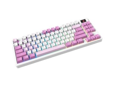 KEYBOARD GAMING VIOLET US/FORGE GK600 TKL W VIOLET MSI