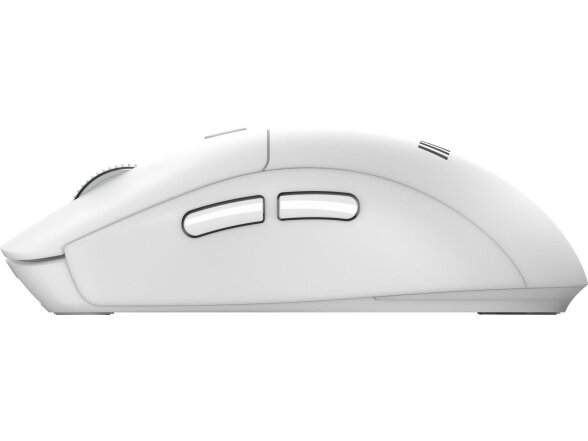 KEYBOARD +MOUSE/FORGE K210 W COMBO WHITE MSI 16 KEYBOARD +MOUSE/FORGE K210 W COMBO WHITE MSI 16
