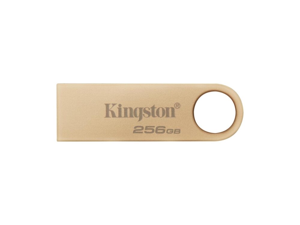 MEMORY DRIVE FLASH USB3.2/256GB DTSE9G3/256GB KINGSTON