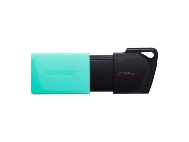 MEMORY DRIVE FLASH USB3.2/64GB DTXM/64GB KINGSTON