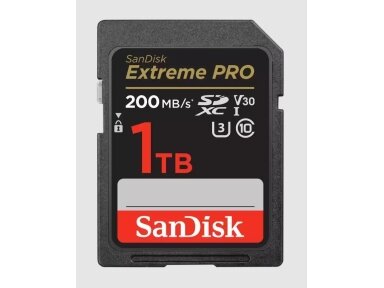 MEMORY SDXC 1TB UHS-I/SDSDXXD-1T00-GN4IN SANDISK
