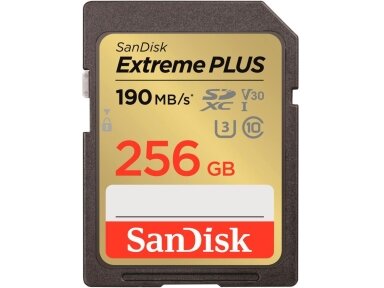 MEMORY SDXC 256GB UHS-1/SDSDXWV-256G-GNCIN SANDISK