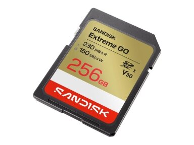 MEMORY SDXC 256GB UHS-I/SDSDXGN-256G-GNCIN SANDISK