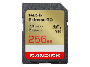 MEMORY SDXC 256GB UHS-I/SDSDXGN-256G-GNCIN SANDISK