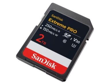 MEMORY SDXC 2TB UHS-1/SDSDXXD-2T00-GN4IN SANDISK