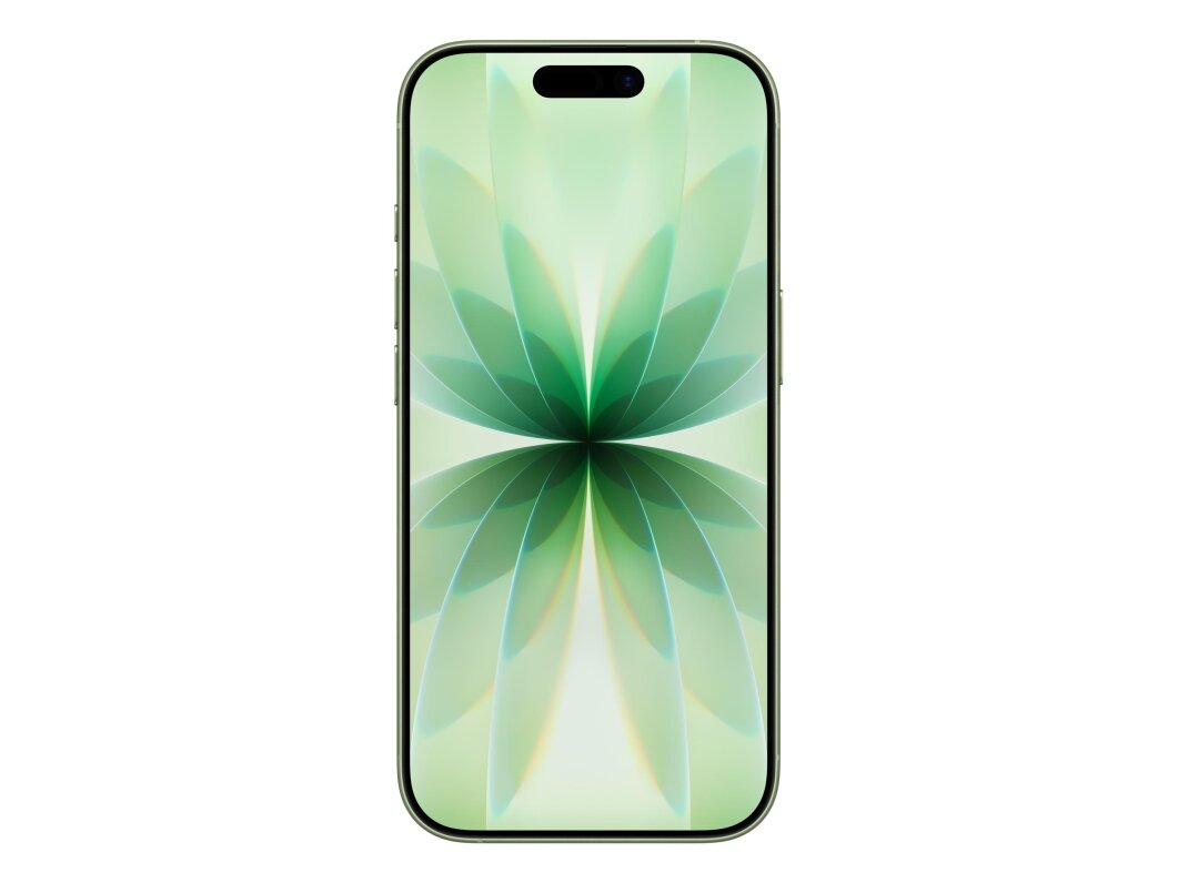 MOBILE PHONE IPHONE 17/256GB SAGE MG6N4 APPLE 1