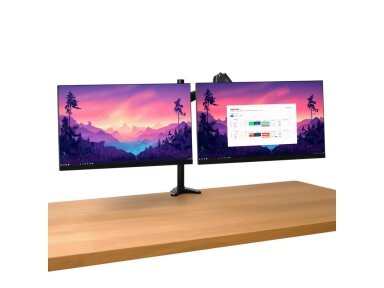 MONITOR ACC ARM DUAL/MARA 25337 TRUST