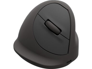 MOUSE USB OPTICAL WRL VERTICAL/ERGO M RT 100143579 FELLOWES