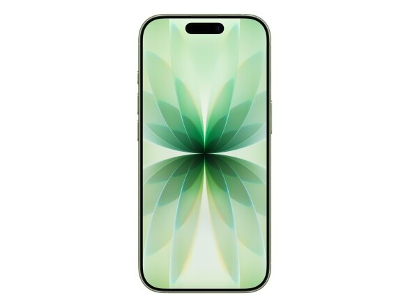 MOBILE PHONE IPHONE 17/256GB SAGE MG6N4 APPLE 1