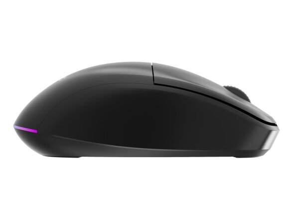 MOUSE USB OPTICAL WRL/MUSW2-6B-01 GEMBIRD 6 MOUSE USB OPTICAL WRL/MUSW2-6B-01 GEMBIRD 6