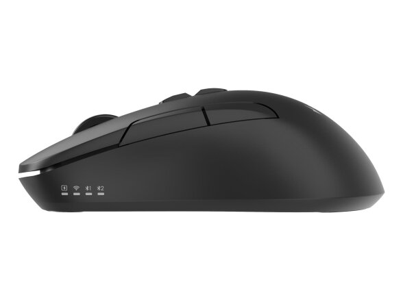 MOUSE USB OPTICAL WRL/MUSW2-7B-01 GEMBIRD 2 MOUSE USB OPTICAL WRL/MUSW2-7B-01 GEMBIRD 2
