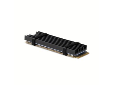 SSD ACC COOLER M.2 2280/6MM CLR-M2L6 AXAGON