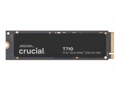 SSD PCIE G5 M.2 NVME 1TB W/HS/T710 CT1000T710SSD5 CRUCIAL