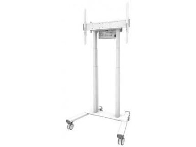 TV SET ACC FLOOR STAND 37-100"/FL55-875WH1 NEOMOUNTS