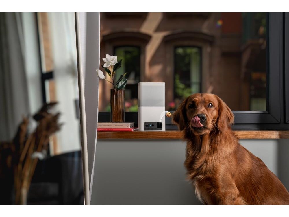 WRL CAMERA BITES 2 LITE/BL10US PETCUBE 3 WRL CAMERA BITES 2 LITE/BL10US PETCUBE 3