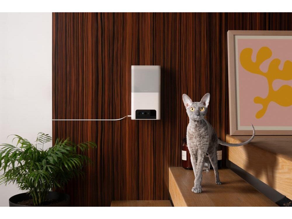 WRL CAMERA BITES 2 LITE/BL10US PETCUBE 4 WRL CAMERA BITES 2 LITE/BL10US PETCUBE 4