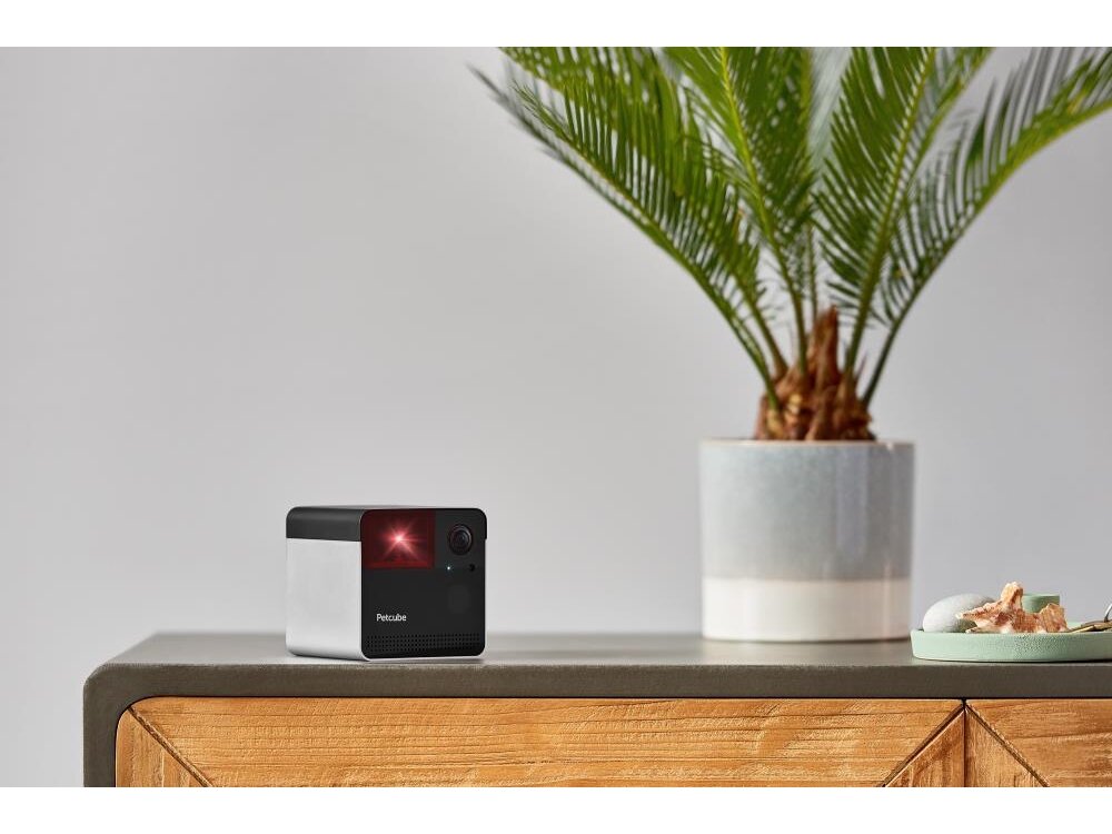 WRL CAMERA PLAY 2/PP20US PETCUBE 4