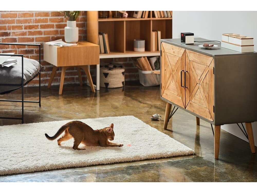 WRL CAMERA PLAY 2/PP20US PETCUBE 6