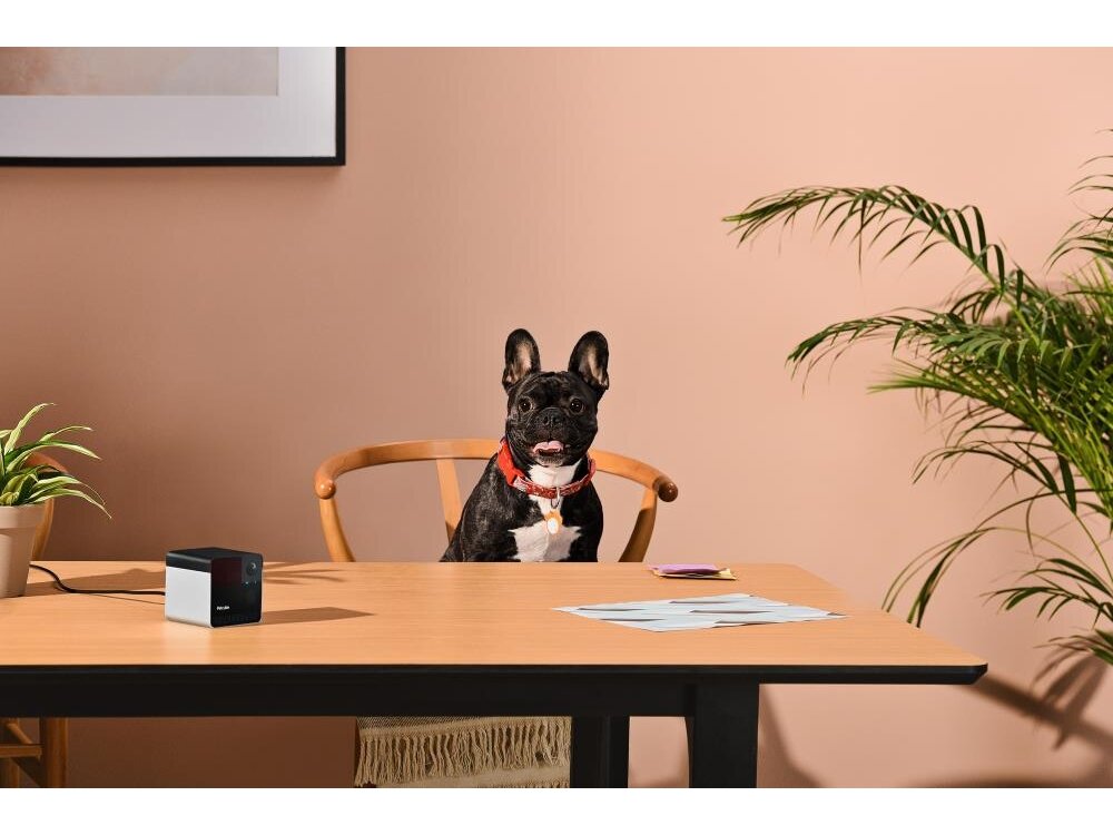 WRL CAMERA PLAY 2/PP20US PETCUBE 7