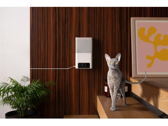 WRL CAMERA BITES 2 LITE/BL10US PETCUBE 4